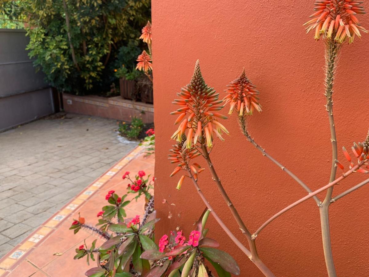 La Casita De Descanso - Das Haeuschen Der Ruhe - La Luz - La Orotava Kültér fotó